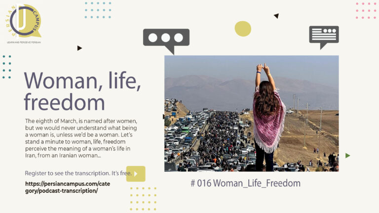 woman, life, freedom: a woman standing on a car and confronting the government's army
